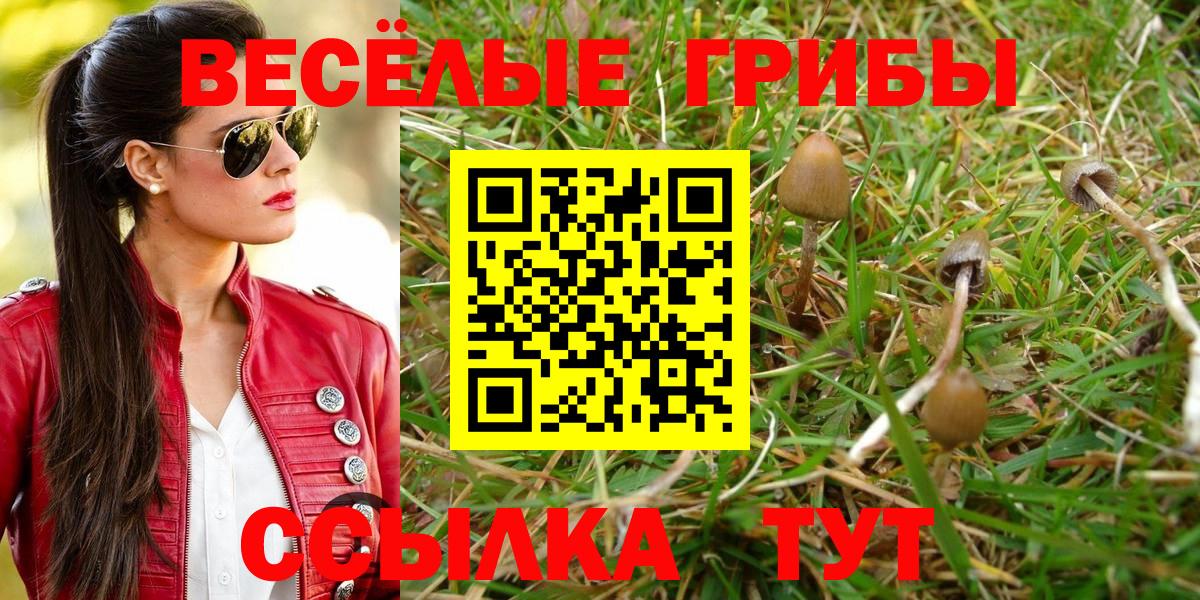 Светлоград  Галлюциногенные грибы Magic Shrooms  Вход с VPN 